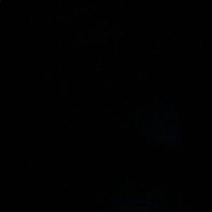 Meet your Posher, Abbie